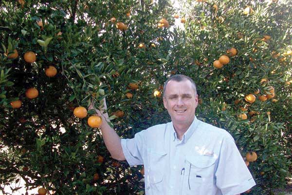 Citrus Harvest pic